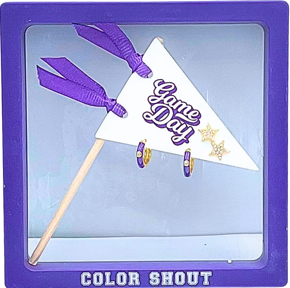 E203- Game Day: Pennant Pair- Team Color Huggie Hoops + Star Stud Earrings on Pennant Flag