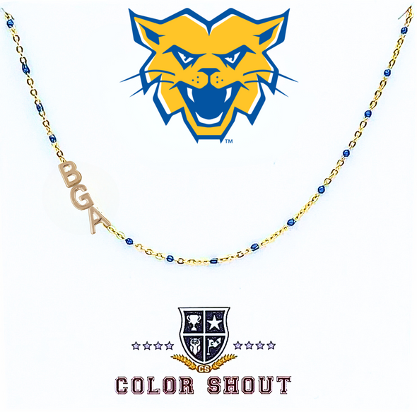 Custom Highschool: Battleground Academy Enamel Bead Necklace